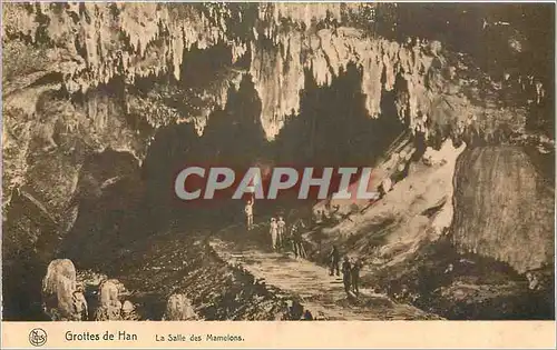Cartes postales Grottes de Han La Salle des Mamelon