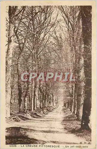 Cartes postales La Creuse Pittoresque Un joli sous bois