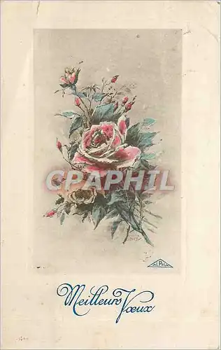 Cartes postales Meilleurs Voeux
