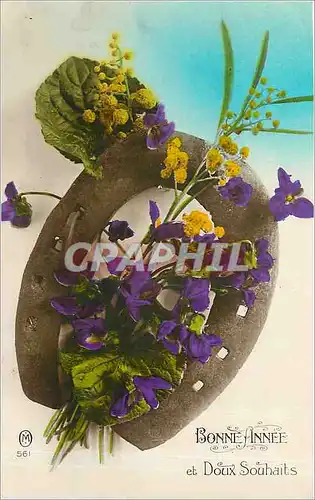 Cartes postales Bonne Annee et Doux Souhaits Fer a cheval