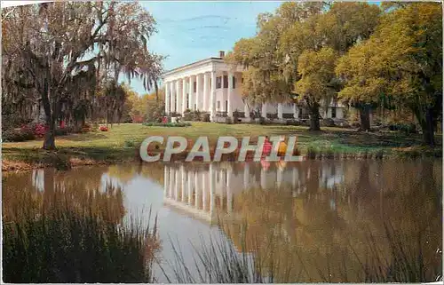 Cartes postales moderne Greenwood Plantation