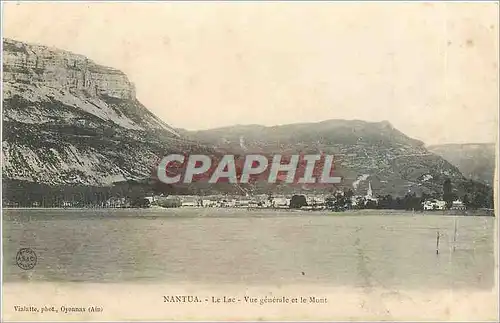 Ansichtskarte AK Nantua Le Lac Vue Generale et le Mont