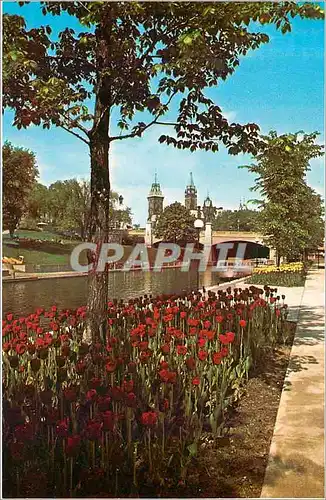 Cartes postales moderne Le Canal Rideau a Ottawa la Ville Capitale du Canada