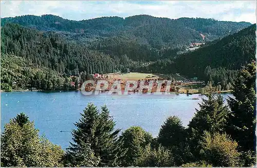 Cartes postales moderne Gerardmer Perle des Vosges Le Lac et le Camping de Ramberchamp