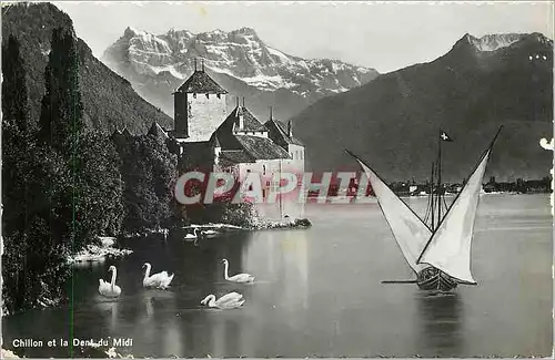 Cartes postales moderne Chillon et la Dent du Midi Bateau Cygnes