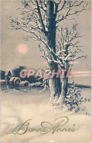 Cartes postales Bonne Annee