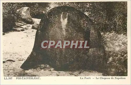 Cartes postales Fontainebleau La Foret Le Chapeau de Napoleon