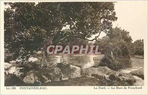 Cartes postales Fontainebleau La Foret La Mare de Franchard