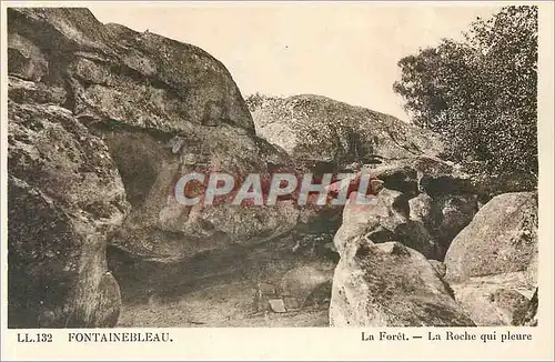 Cartes postales Fontainebleau La Foret La Roche qui Pleure