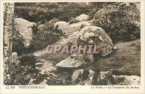 Ansichtskarte AK Fontainebleau La Foret La Casquette du Jockey