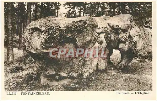 Ansichtskarte AK Fontainebleau La Foret L'Elephant