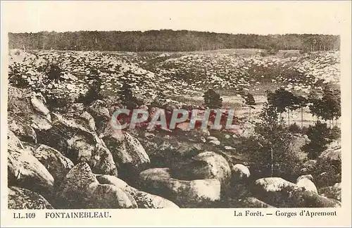 Ansichtskarte AK Fontainebleau La Foret Gorges d'Apremont