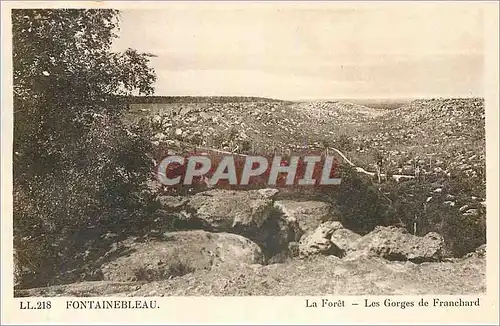 Cartes postales Fontainebleau La Foret Les Gorges de Franchard