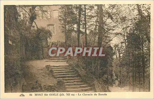 Cartes postales Mont Ste Odile Le Chemin de Ronde