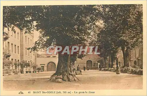 Cartes postales Mont Ste Odile La gran le Cour