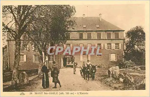 Ansichtskarte AK Mont Ste Odile L'Entree Attelage Ane Mule