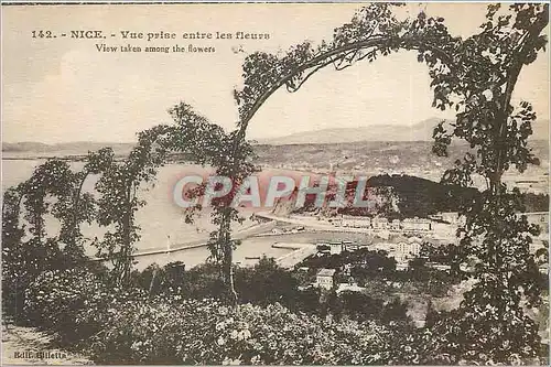 Cartes postales Nice Vue prise entre les Fleurs