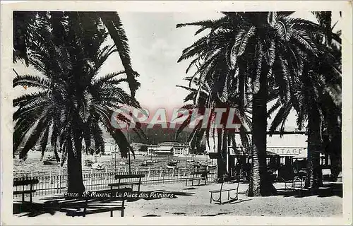 Cartes postales moderne Ste Maxime La Place des Palmiers