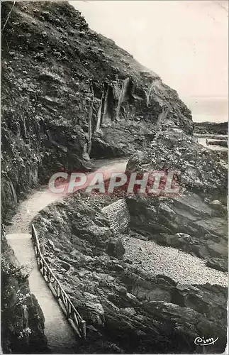 Cartes postales moderne Le Val Andre C du N Promenade de la Lingouare