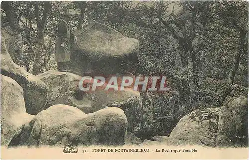 Ansichtskarte AK Foret de Fontainebleau La Roche qui Tremble