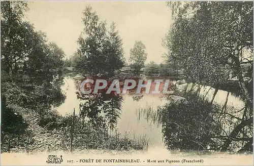 Cartes postales Foret de Fontainebleau Mare aux Pigeons Franchard