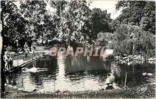 Moderne Karte Cherbourg Manche Le Jardin Public Cygne