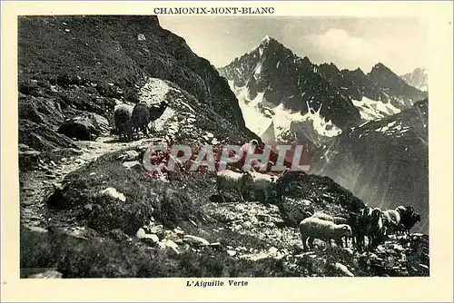 Cartes postales Chamonix Mont Blanc L'Aiguille Verte Moutons