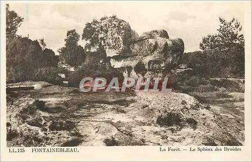 Ansichtskarte AK Fontainebleau La Foret Le Sphinx des Druides