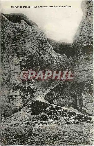 Cartes postales Criel Plage La Crevasse vers Mesnil en Caux