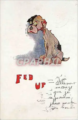 Cartes postales Fed Up Chien