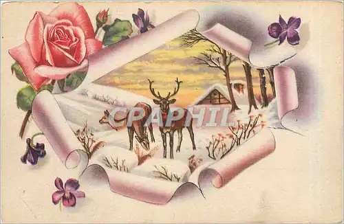 Cartes postales Fleurs Biches