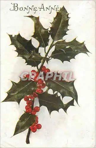 Cartes postales Bonne Annee