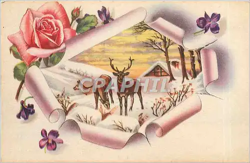 Cartes postales Fleurs Biches