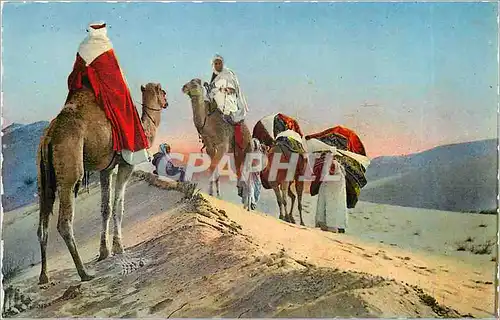 Cartes postales moderne Caravare dans le desert Chameaux