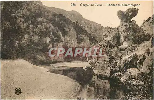 Ansichtskarte AK Gorges du Tarn - Rocher du Champignon