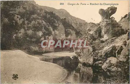 Cartes postales Gorges du Tarn - Rocher du Champignon