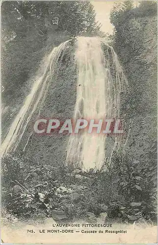 Cartes postales L'AUVERGNE PITTORESQUE LE Mont Dore Cascade du Rossignolet