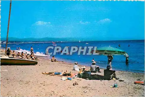 Cartes postales moderne HYERES-LES PALMIERS