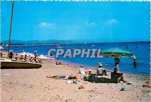 Cartes postales moderne HYERES-LES PALMIERS