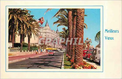 Cartes postales Meilleurs v�ux Nice