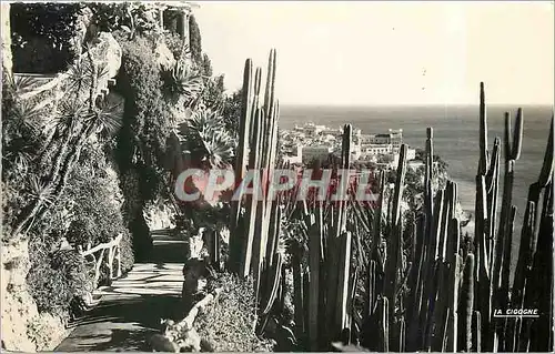 Cartes postales moderne PRINCIPAUTE DE MONACO Le jardin exotique et vue sur le rocher