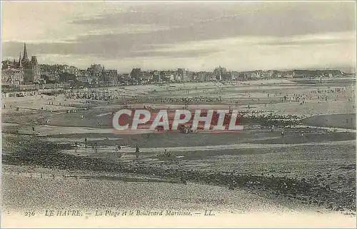 Cartes postales LE HAVRE La plage et le boulevard maritime