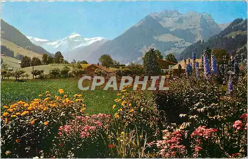 Cartes postales moderne Gstaad  Oldenhorn