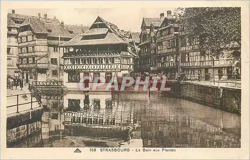 Cartes postales STRASBOURG Le bain aux plantes