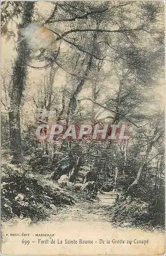 Cartes postales For�t de la Sainte Baume De la grotte au Canape