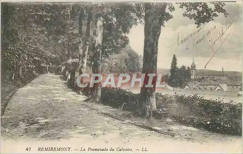 Cartes postales REMIREMONT  La Promenade du Calvaire