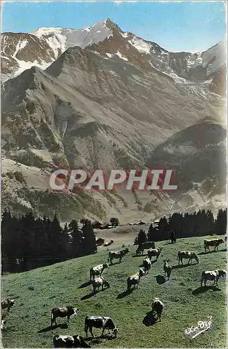 Cartes postales moderne PAYSAGES ALPESTRES Paturages Vaches