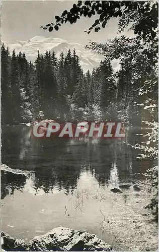 Cartes postales moderne PLATEAU D'ASSY - Le Lac Vert Le miroir du Mont Blanc
