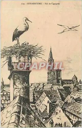 Cartes postales STRASBOURG - Nid de Cigognes