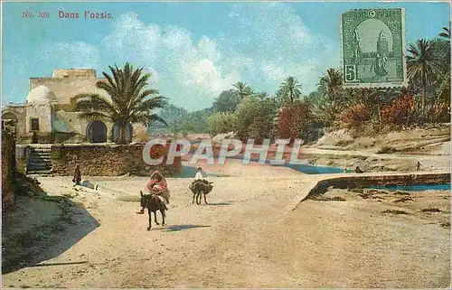 Cartes postales Dans l'oasis